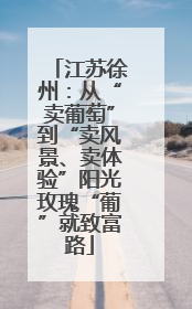 江苏徐州：从“卖葡萄”到“卖风景、卖体验”阳光玫瑰“葡”就致富路