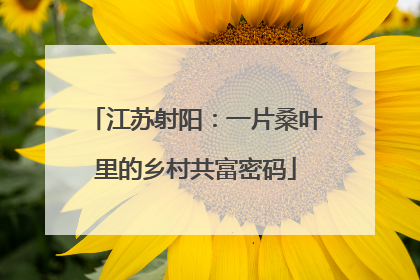 江苏射阳：一片桑叶里的乡村共富密码