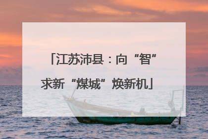 江苏沛县：向“智”求新“煤城”焕新机