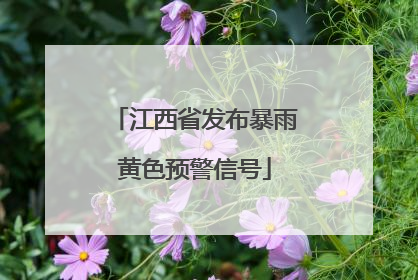 江西省发布暴雨黄色预警信号