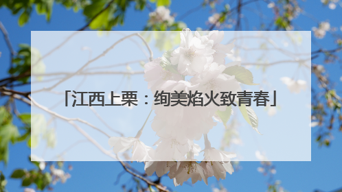 江西上栗：绚美焰火致青春