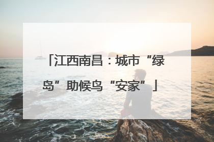 江西南昌：城市“绿岛”助候鸟“安家”