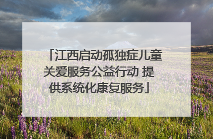 江西启动孤独症儿童关爱服务公益行动 提供系统化康复服务