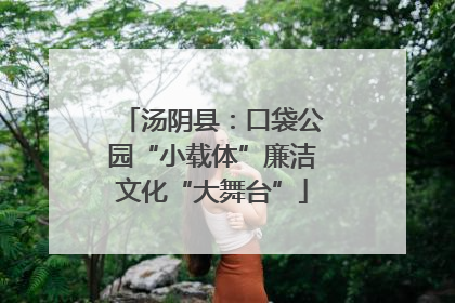 汤阴县：口袋公园“小载体”廉洁文化“大舞台”