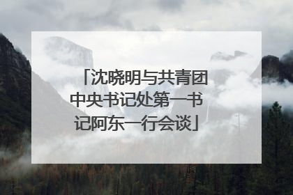 沈晓明与共青团中央书记处第一书记阿东一行会谈