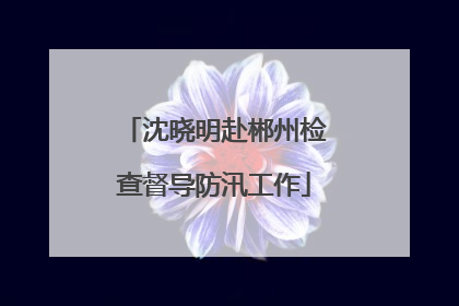 沈晓明赴郴州检查督导防汛工作