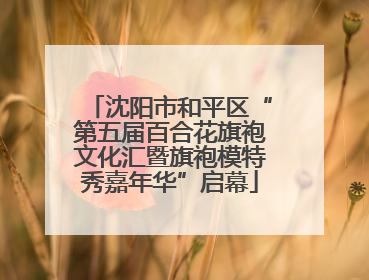 沈阳市和平区“第五届百合花旗袍文化汇暨旗袍模特秀嘉年华”启幕