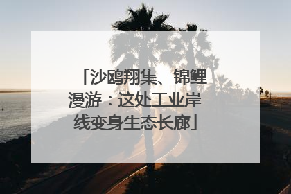 沙鸥翔集、锦鲤漫游：这处工业岸线变身生态长廊