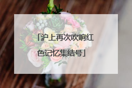 沪上再次吹响红色记忆集结号
