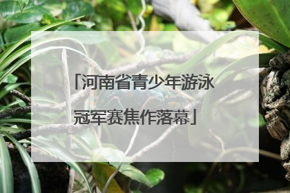 河南省青少年游泳冠军赛焦作落幕