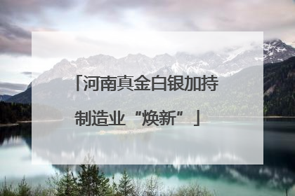 河南真金白银加持制造业“焕新”