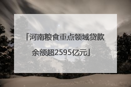 河南粮食重点领域贷款余额超2595亿元
