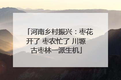 河南乡村振兴：枣花开了 枣农忙了 川塬古枣林一派生机