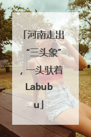 河南走出“三头象”，一头驮着Labubu