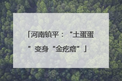 河南镇平：“土蛋蛋”变身“金疙瘩”