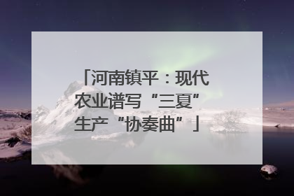 河南镇平：现代农业谱写“三夏”生产“协奏曲”