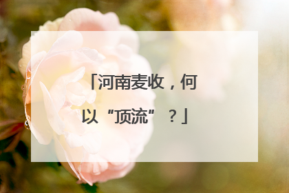 河南麦收，何以“顶流”？