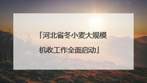 河北省冬小麦大规模机收工作全面启动