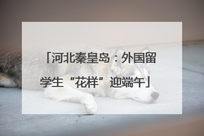 河北秦皇岛：外国留学生“花样”迎端午
