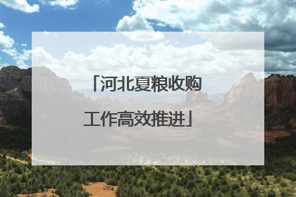 河北夏粮收购工作高效推进