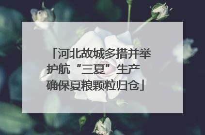 河北故城多措并举护航“三夏”生产 确保夏粮颗粒归仓