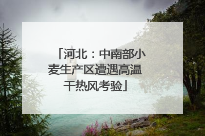 河北：中南部小麦生产区遭遇高温干热风考验