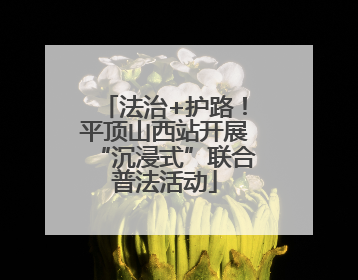 法治+护路！平顶山西站开展“沉浸式”联合普法活动