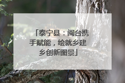 泰宁县：闽台携手赋能，绘就乡建乡创新图景