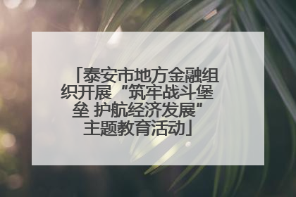 泰安市地方金融组织开展“筑牢战斗堡垒 护航经济发展”主题教育活动