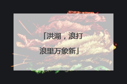 洪湖，浪打浪里万象新