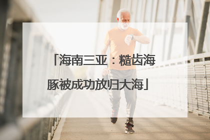 海南三亚：糙齿海豚被成功放归大海