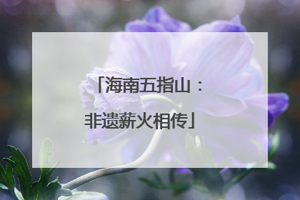 海南五指山：非遗薪火相传