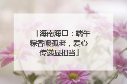 海南海口：端午粽香暖孤老，爱心传递显担当