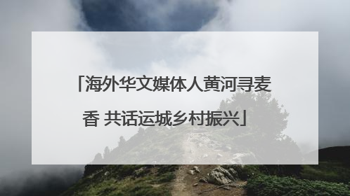 海外华文媒体人黄河寻麦香 共话运城乡村振兴