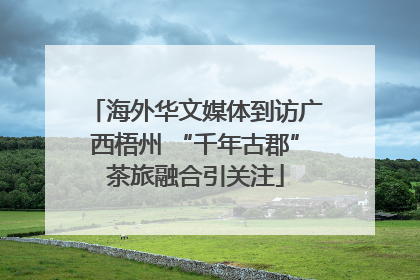 海外华文媒体到访广西梧州 “千年古郡”茶旅融合引关注