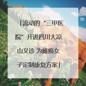 流动的“三甲医院”开进四川大凉山义诊 为瘫痪女子定制康复方案