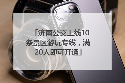 济南公交上线10条景区游玩专线，满20人即可开通