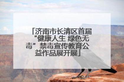 济南市长清区首届“健康人生 绿色无毒”禁毒宣传教育公益作品展开展