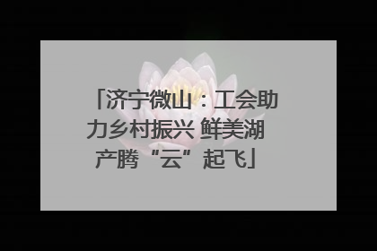 济宁微山：工会助力乡村振兴 鲜美湖产腾“云”起飞