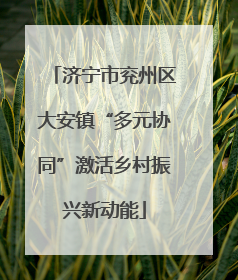 济宁市兖州区大安镇“多元协同”激活乡村振兴新动能