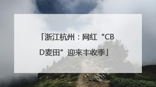 浙江杭州：网红“CBD麦田”迎来丰收季