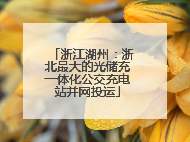 浙江湖州：浙北最大的光储充一体化公交充电站并网投运