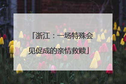 浙江：一场特殊会见促成的亲情救赎