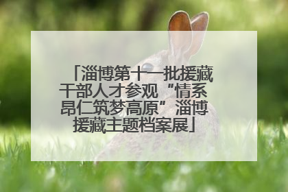 淄博第十一批援藏干部人才参观“情系昂仁筑梦高原”淄博援藏主题档案展