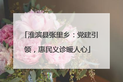 淮滨县张里乡：党建引领，惠民义诊暖人心
