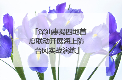 深汕惠揭四地首度联动开展海上防台风实战演练