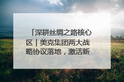 深耕丝绸之路核心区｜美克集团两大战略协议落地，激活新疆开放新动能