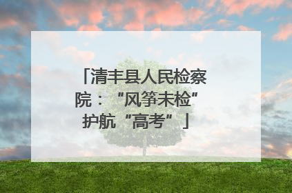 清丰县人民检察院：“风筝未检”护航“高考”
