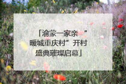 渝蒙一家亲 “暖城重庆村”开村盛典璀璨启幕