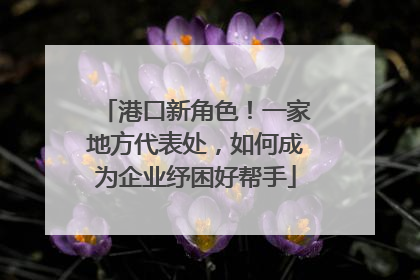 港口新角色！一家地方代表处，如何成为企业纾困好帮手